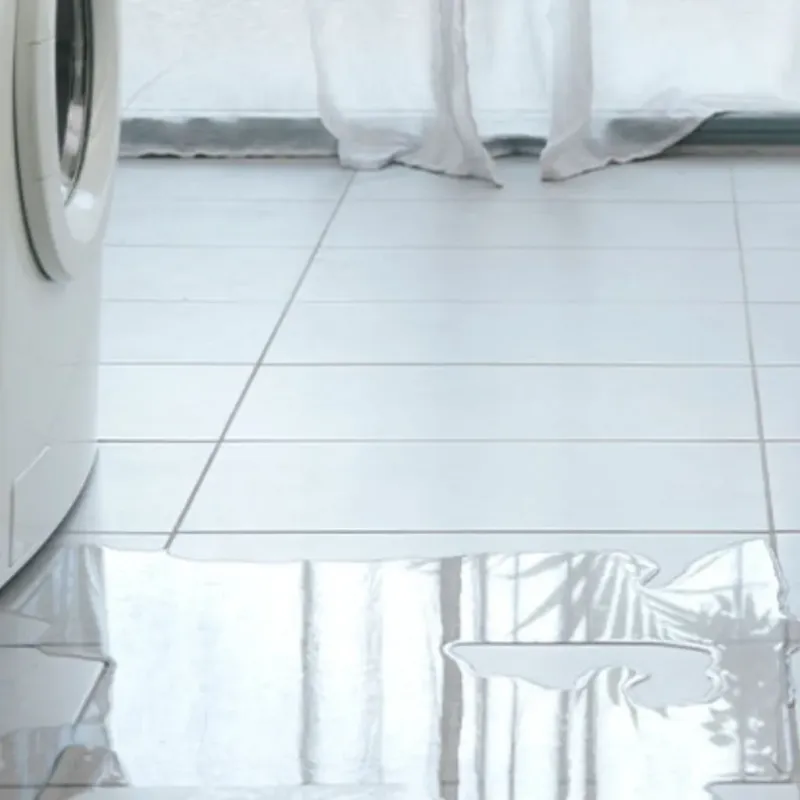 Appliance Leak Cleanup in Onalaska, WI