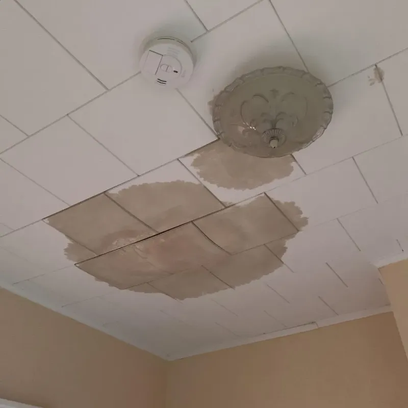 Ceiling Water Damage Repair in Onalaska, WI